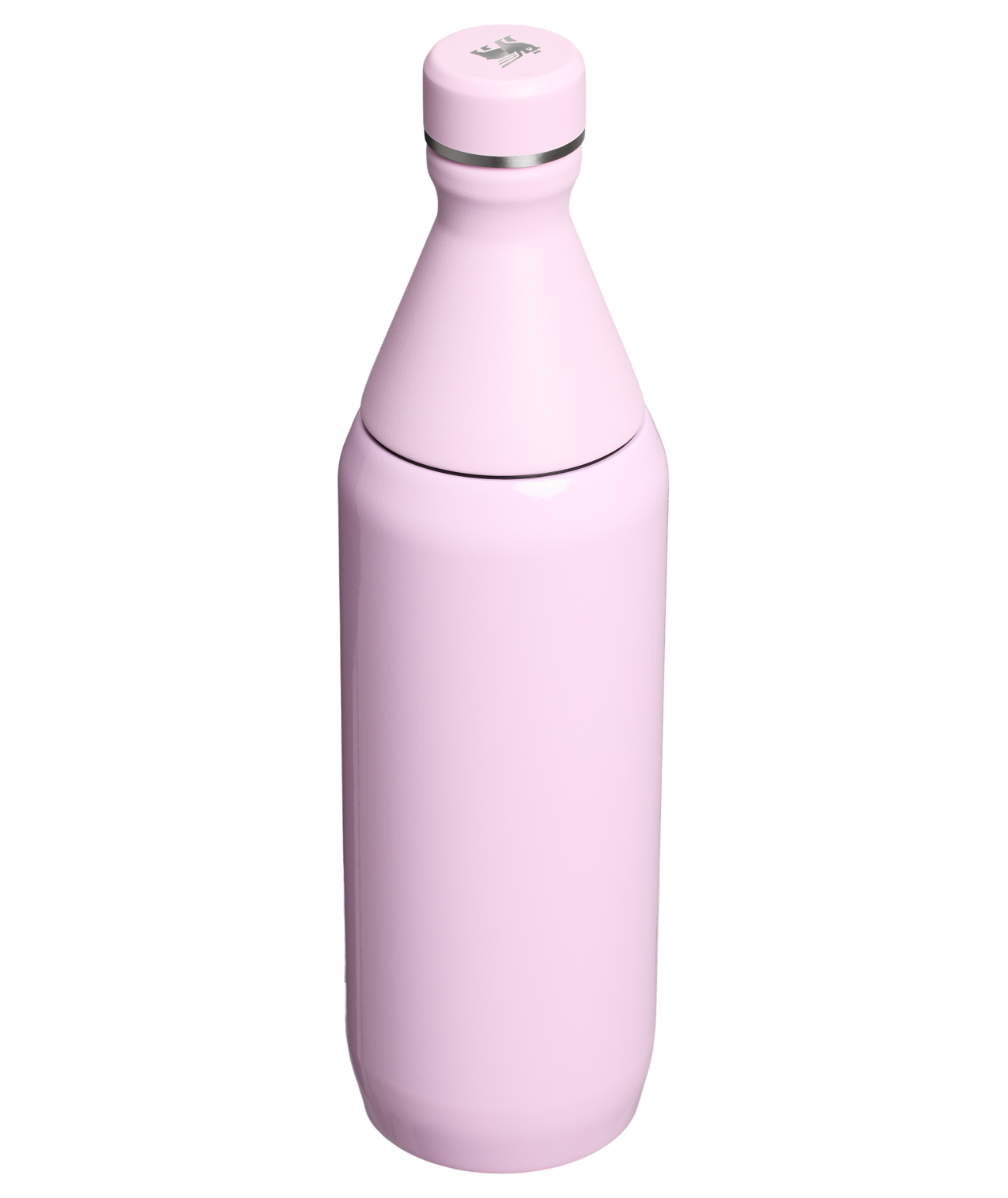 Garrafa Térmica Slim Bottle Cherry Blossom | 591ml